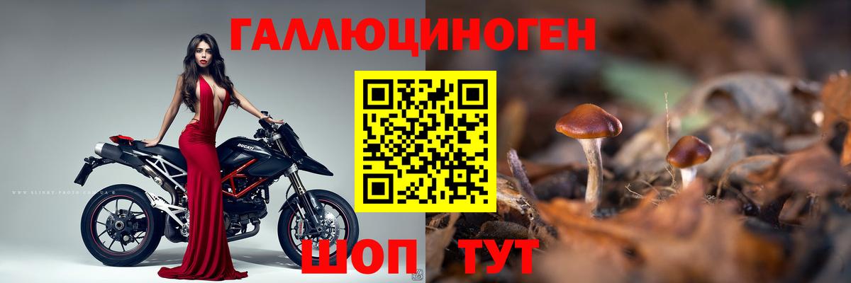 Галлюциногенные грибы мухоморы Карачаевск